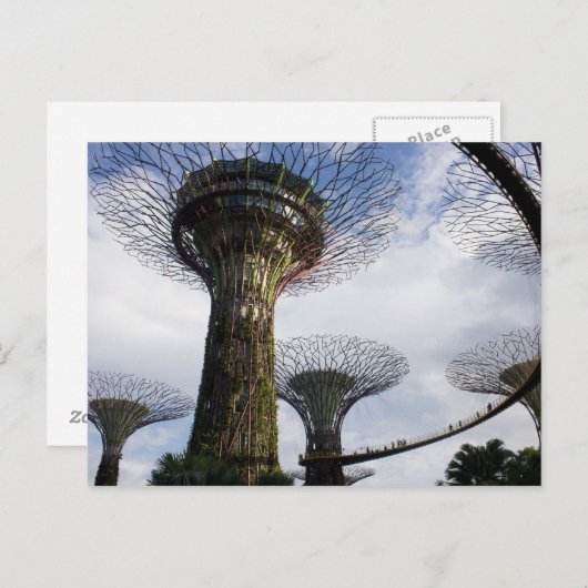 Tuin van de baai briefkaart (Voorkant / Achterkant)