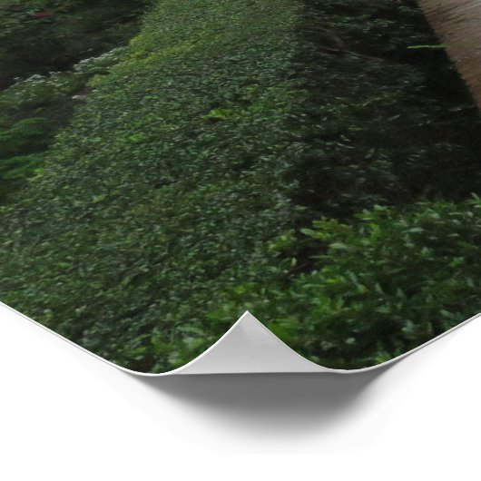 Tuin van de Generalife, Alhambra, Spanje - Poster (Hoek)