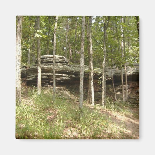 Tuin van de goden - Illinois Magneet (Voorkant)