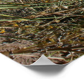 Tuin van de Goden Poster (Hoek)