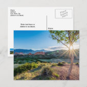 Tuin van de Gods Tree Sunburst Briefkaart (Voorkant / Achterkant)