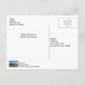 Tuin van de Gods Tree Sunburst Briefkaart (Achterkant)