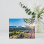 Tuin van de Gods Tree Sunburst Briefkaart (Staand voorkant)