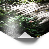 Tuin van de slapende reus Fiji Foto Afdruk (Hoek)