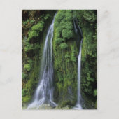 Tuin van Eden Briefkaart (Voorkant)