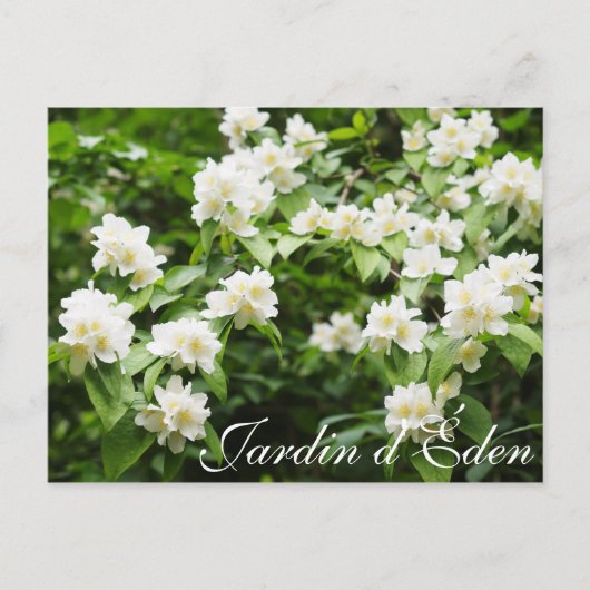 Tuin van Eden Briefkaart (Voorkant)