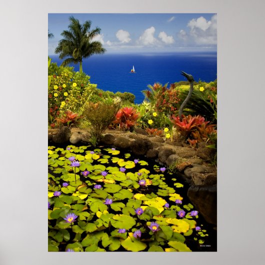 Tuin van Eden - Maui - Hawaii Poster (Voorkant)