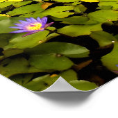 Tuin van Eden - Maui - Hawaii Poster (Hoek)