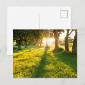 Tuin van Eden Oak-bomen Briefkaart (Voorkant / Achterkant)