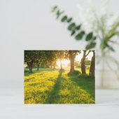 Tuin van Eden Oak-bomen Briefkaart (Staand voorkant)