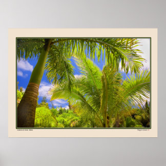 Tuin van Eden - Palms - Maui Hawaii Poster