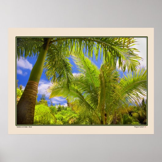 Tuin van Eden - Palms - Maui Hawaii Poster (Voorkant)