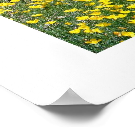 Tuin van Eden Proverbs 3:5-6 Poster (Hoek)