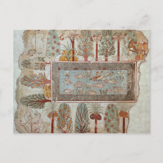 Tuin van een privéterrein met een sieroog briefkaart (Voorkant)