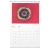 Tuin van Genade: In zwart & wit & kleur kalender (Feb 2027)