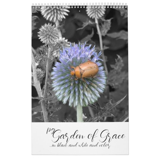 Tuin van Genade: In zwart & wit & kleur kalender (Hoes)