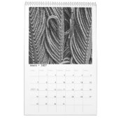 Tuin van Genade: In zwart & wit & kleur kalender (Mar 2027)