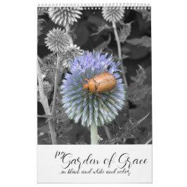 Tuin van Genade: In zwart & wit & kleur kalender