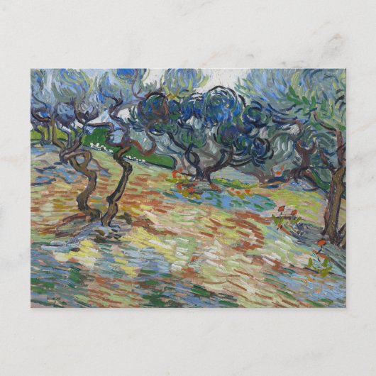 Tuin van Gethsemane, berg Olijven van Gogh Briefkaart (Voorkant)