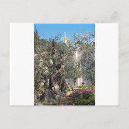 Tuin van Gethsemane Briefkaart