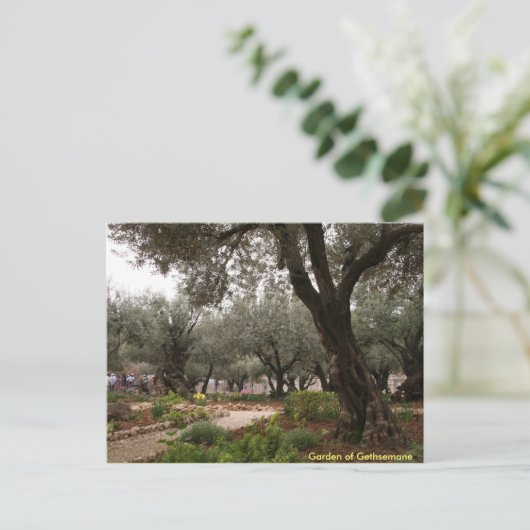 Tuin van Gethsemane Briefkaart (Staand voorkant)