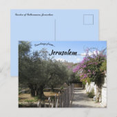 Tuin van Gethsemane Jerusalem 2 Briefkaart (Voorkant / Achterkant)