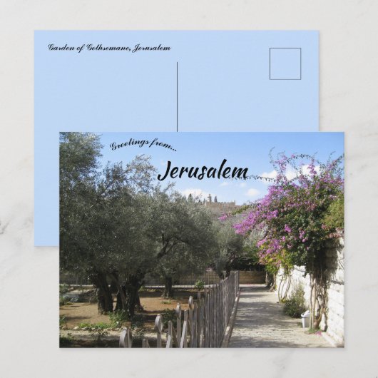 Tuin van Gethsemane Jerusalem 2 Briefkaart (Voorkant / Achterkant)