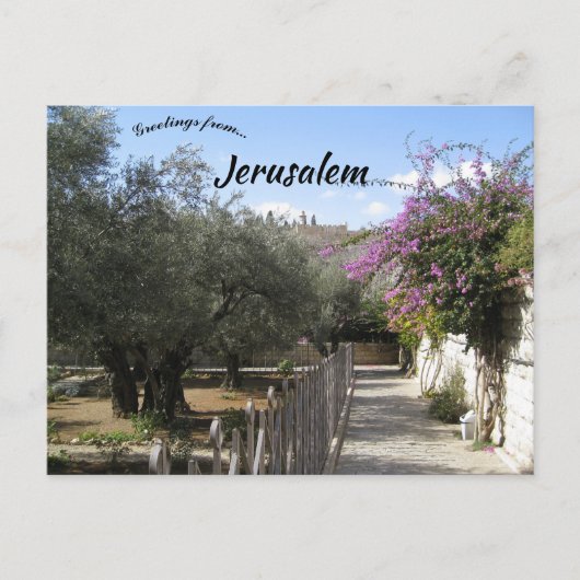 Tuin van Gethsemane Jerusalem 2 Briefkaart (Voorkant)