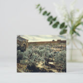  tuin van Gethsemane Jerusalem Israël Briefkaart (Staand voorkant)
