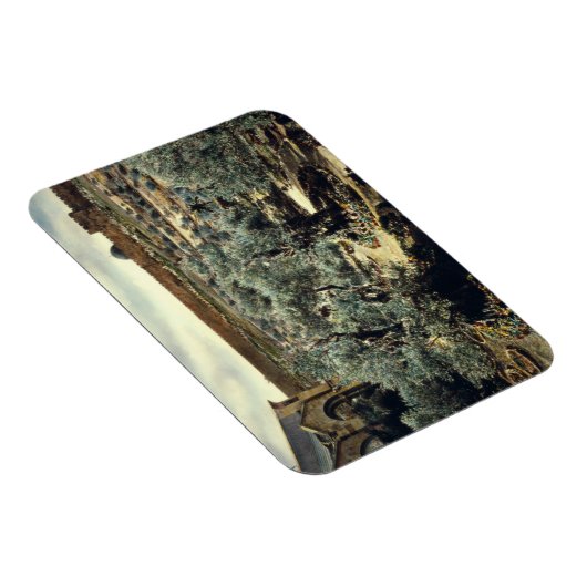 tuin van Gethsemane Jerusalem Israël Magneet (Rechterzijde)