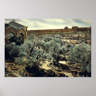 tuin van Gethsemane Jerusalem Israël Poster