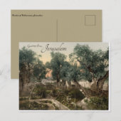 Tuin van Gethsemane Jeruzalem Briefkaart (Voorkant / Achterkant)