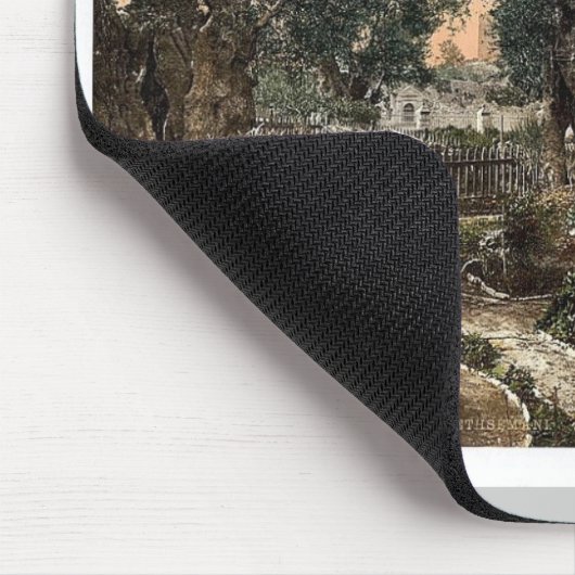 Tuin van Gethsemane, Jeruzalem, Heilige Land, klas Muismat (Hoek)