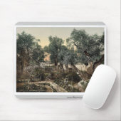 Tuin van Gethsemane, Jeruzalem, Heilige Land, klas Muismat (Met muis)