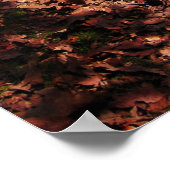 Tuin van goed en kwaad...ik loop de lijn poster (Hoek)