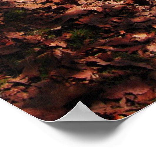 Tuin van goed en kwaad...ik loop de lijn poster (Hoek)