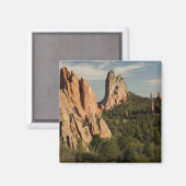 Tuin van het historische Gods-gebied Magneet (Voorkant / Achterkant)