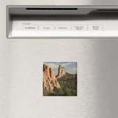 Tuin van het historische Gods-gebied Magneet (Insitu (Vaatwasser))