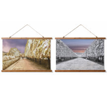 Tuin van het Palais Royal in Parijs