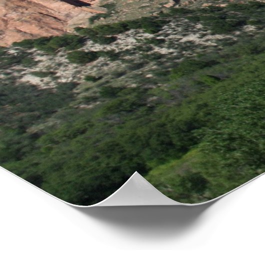 Tuin van het Poster ~ Colorado (Hoek)