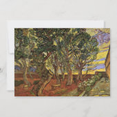 Tuin van het Saint-Paul-ziekenhuis door Vincent va (Voorkant)