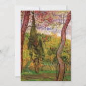 Tuin van het Saint-Paul-ziekenhuis door Vincent va (Voorkant)