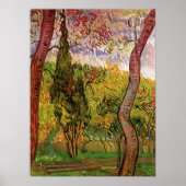 Tuin van het Saint-Paul-ziekenhuis door Vincent va Poster (Voorkant)