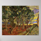 Tuin van het Saint-Paul-ziekenhuis door Vincent va Poster (Voorkant)