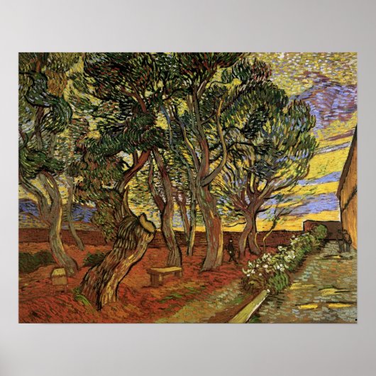 Tuin van het Saint-Paul-ziekenhuis door Vincent va Poster (Voorkant)