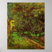 Tuin van het Saint-Paul-ziekenhuis door Vincent va Poster (Voorkant)