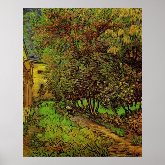 Tuin van het Saint-Paul-ziekenhuis door Vincent va Poster (Voorkant)