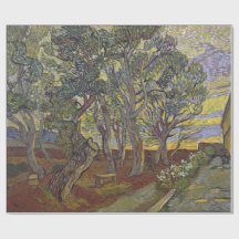 Tuin van het ziekenhuis van Saint Paul Vincent Van