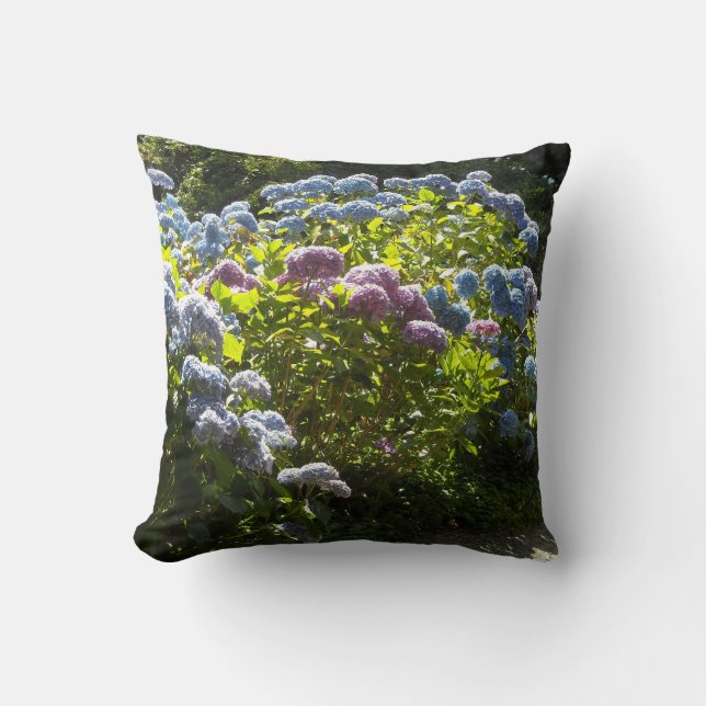 Tuin van Hortensia's Kussen (Voorkant)