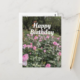 Tuin van roze Roses Birthday Wishes Briefkaart